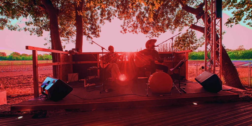 pop folk rock Avignon